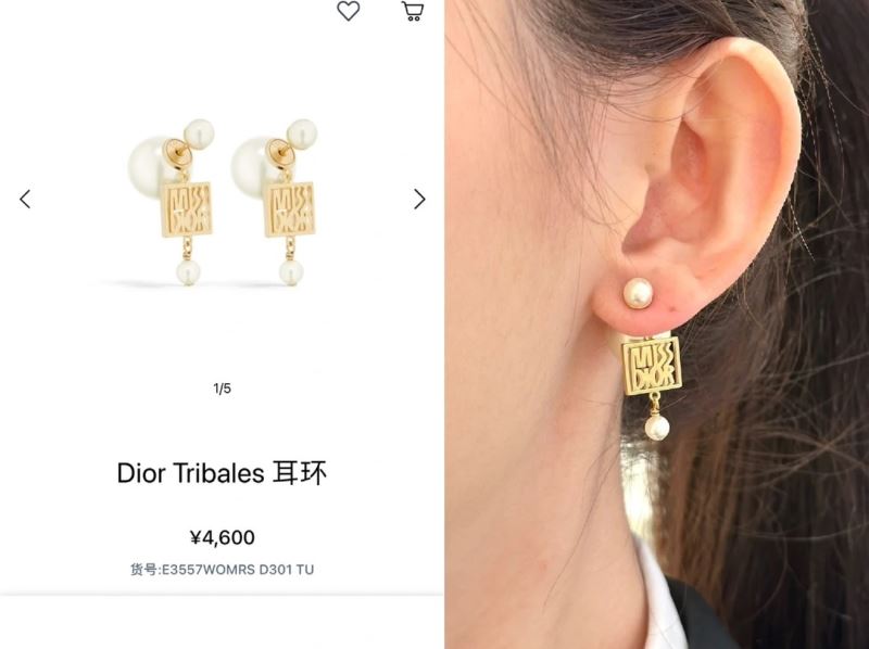 Christian Dior Earrings